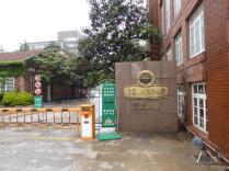 Tsingtao Brauerei hen hao